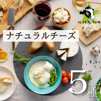【ふるさと納税】うしづまチーズ工場の、ナチュラルチーズ5種セレクト! ナチュラルチーズ モッツァレラチーズ ブルーチーズ 酸凝固ソフトタイプ 生カマンベールチーズ カチョカヴァッロ 静岡 牛妻■ | 乳製品 ジャージー牛100% 詰め合わせ|静岡県静岡市