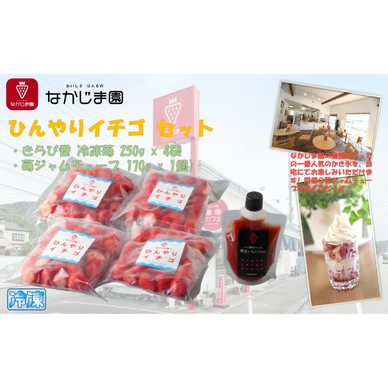 【ふるさと納税】ひんやりイチゴ セット（きらぴ香 冷凍苺 250g×4袋＋苺ジャム チューブ 170g×1個）冷凍 なかじま園 自宅で かき氷 パフェ いちご 苺 国産 フルーツ くだもの | 果物 冷凍フルーツ ストロベリージャム