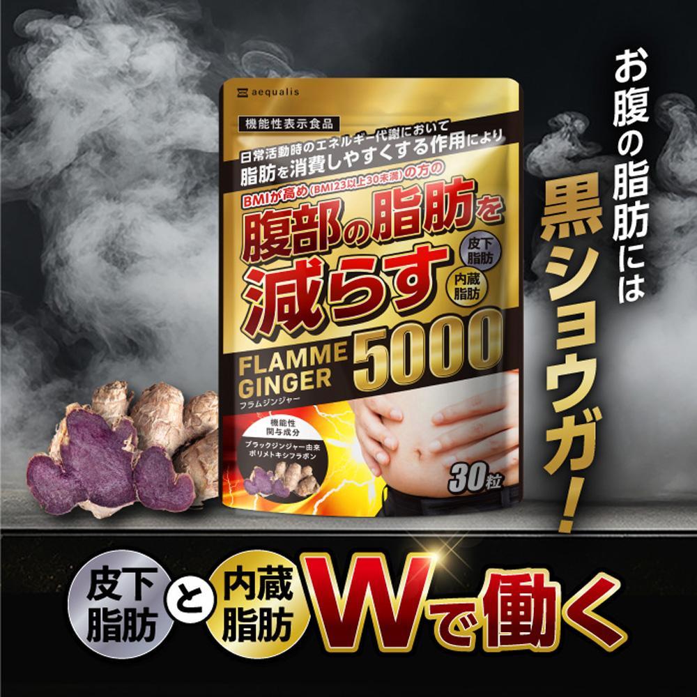 【ふるさと納税】黒いこと生姜 加えること フラムジンジャー 役立つこと性書きあらわす食料雑貨類 30日分◇