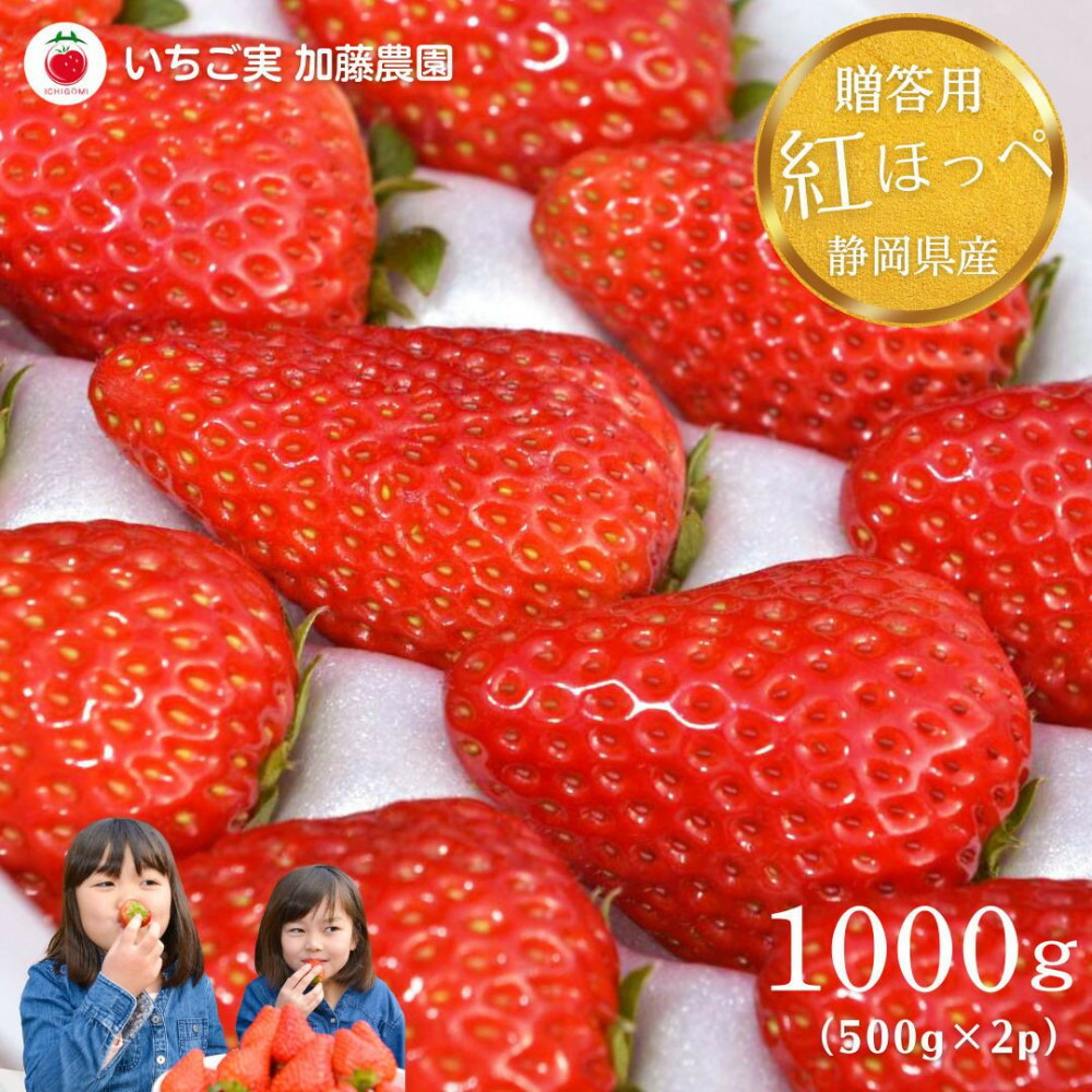 【ふるさと納税】【2026年出荷の先行予約】【贈答用】 静岡県産いちご 紅ほっぺ 500g×2パック（1パック12～15粒）【配送不可：北海道・沖縄・離島】 冷蔵配送 苺 フルーツ | いちご 紅ほっぺ 冷蔵 フルーツ 果物 くだもの 食品 人気 おすすめ 送料無料