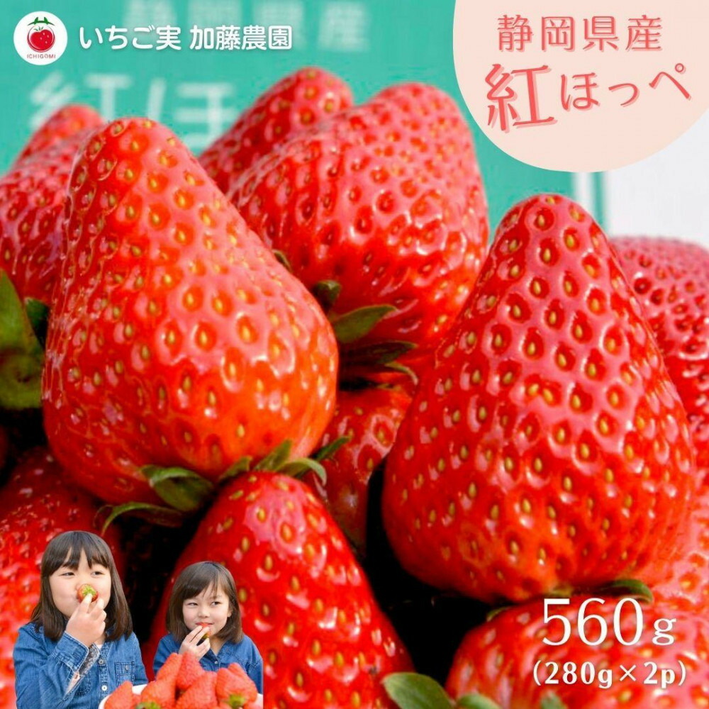 【ふるさと納税】【2026年出荷の先行予約】静岡県産いちご 紅ほっぺ 280g×2パック（1パック12～15粒） 冷蔵配送【配送不可：北海道・沖縄・離島】 苺 フルーツ | いちご 紅ほっぺ 冷蔵 フルーツ 果物 くだもの 食品 人気 おすすめ 送料無料