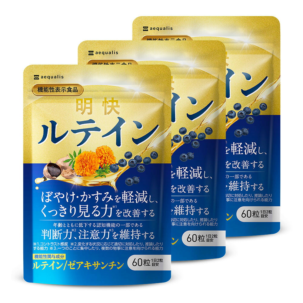 【ふるさと納税】辻褄の合った キサントフィル 加えること 見ると聞きわけるを世話をするする役立つこと性書きあらわす食料雑貨類 ブルーベリー DHA 60粒入 3袋（3ヶ月分）