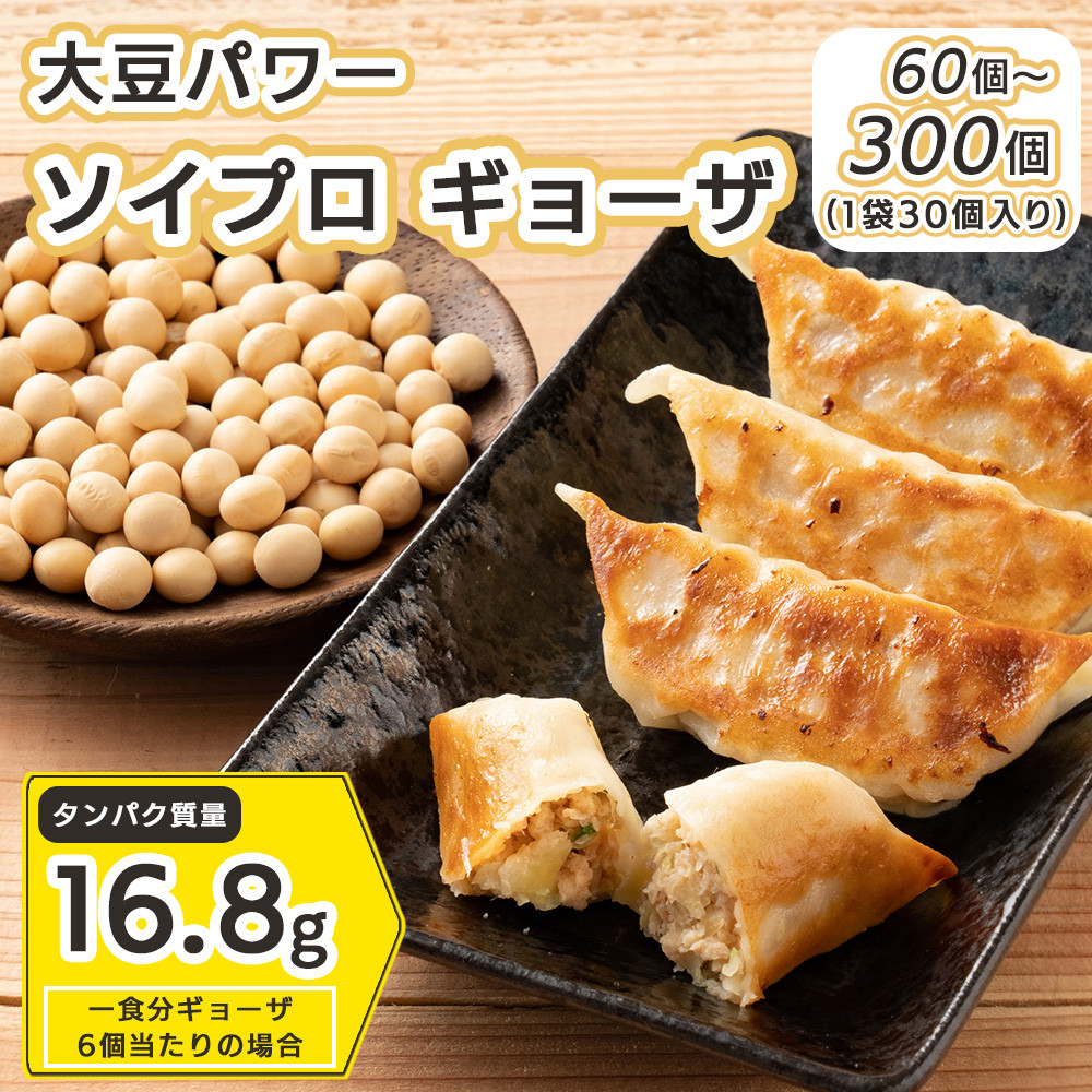 【ふるさと納税】居酒屋監修 ガツンと美味しい 大豆パワー ソイプロギョーザ(60個/90個/150個/300個) | 大豆と野菜の旨み!お肉不使用なのに満足感 植物性餃子だからヘルシーで罪悪感なし高たんぱく筋トレのお供|静岡県静岡市