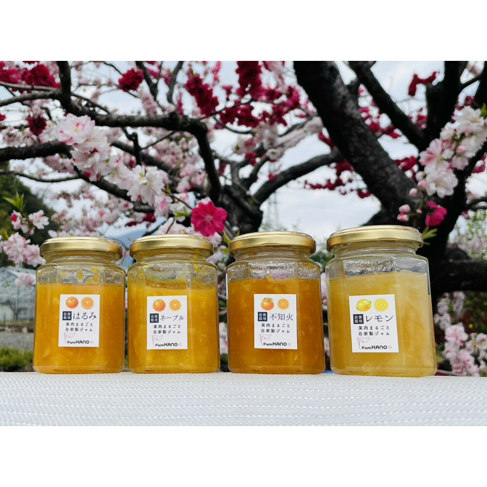 【ふるさと納税】柑橘農家手作り! 無添加柑橘ジャム 4種食べ比べセット フルーツ 柑橘 オレンジ◇ | ジャム はるみ ネーブル 不知火 食品 加工食品 人気 おすすめ 送料無料|静岡県静岡市