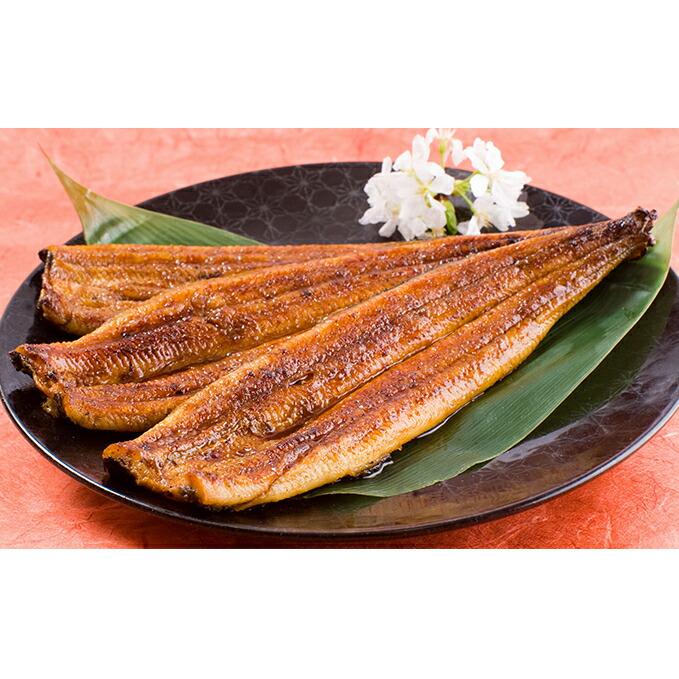 大和養魚 浜名湖うなぎ蒲焼2尾 白焼1尾