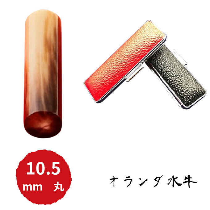 【ふるさと納税】オランダ水牛10.5mm(5書体)牛革ケース(黒) 民芸品 工芸品 |静岡県浜松市