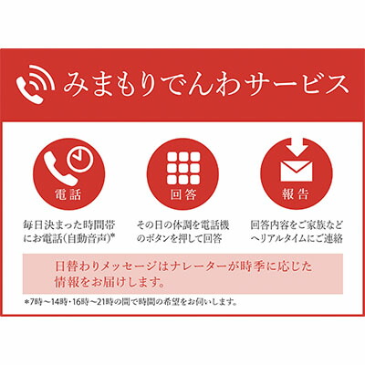 【ふるさと納税】みまもりでんわサービス（携帯電話）（3か月） チケット