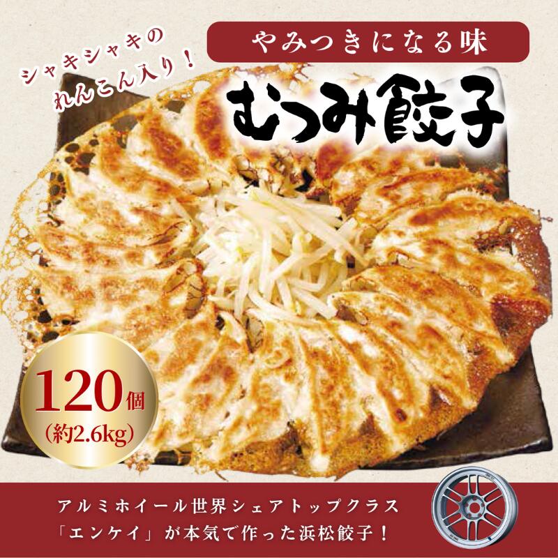 【ふるさと納税】浜松餃子 蓮根たっぷり むつみ屋 むつみ餃子 120個 (30個×4) 餃子 国産 冷凍 ぎょうざ 浜松|静岡県浜松市