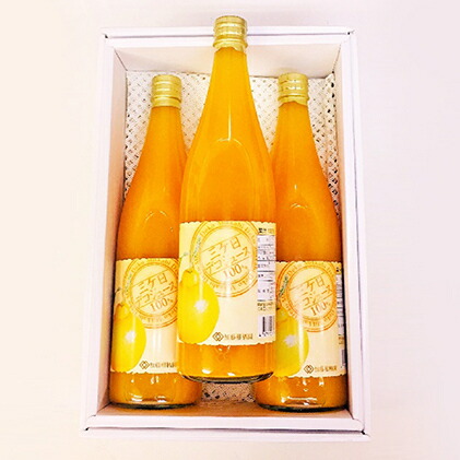 【ふるさと納税】三ヶ日デコジュース100％ 720ml 3本入【配送不可：離島】 果汁飲料 野菜飲料 みかんジュース