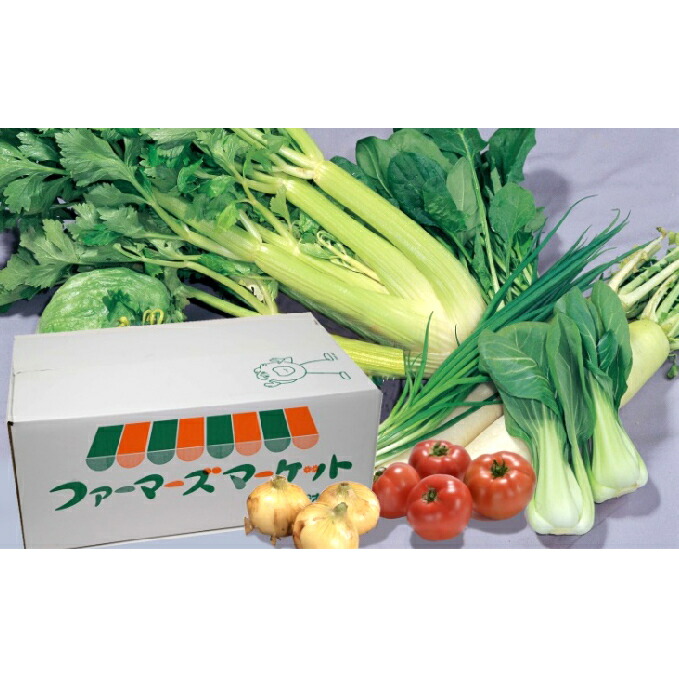【ふるさと納税】浜松産の野菜詰め合わせボックス【配送不可：離島】 セット 詰合せ