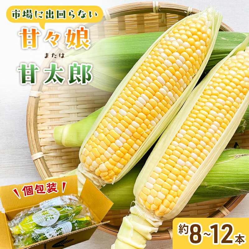 【ふるさと納税】とうもろこし 先行予約 甘々娘 または 甘太郎 約8～12本 春のテルもろこし 個包装 レンジ調理 レンチン 野菜 夏 旬 冷蔵 冷蔵配送 静岡 静岡県 浜松市 6月下旬頃より順次発送 配送不可：離島　お届け：2025年6月下旬～2025年8月上旬予定