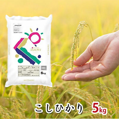 楽天市場】【ふるさと納税】【令和4年産】静岡県産米『歓喜の風』精米