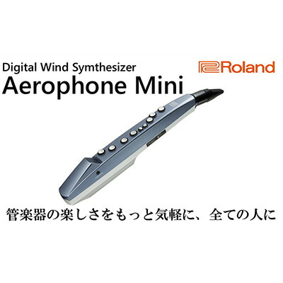 【ふるさと納税】【Roland】ウインドシンセサイザー/エアロフォンミニ【配送不可:離島】 楽器 管楽器 |静岡県浜松市