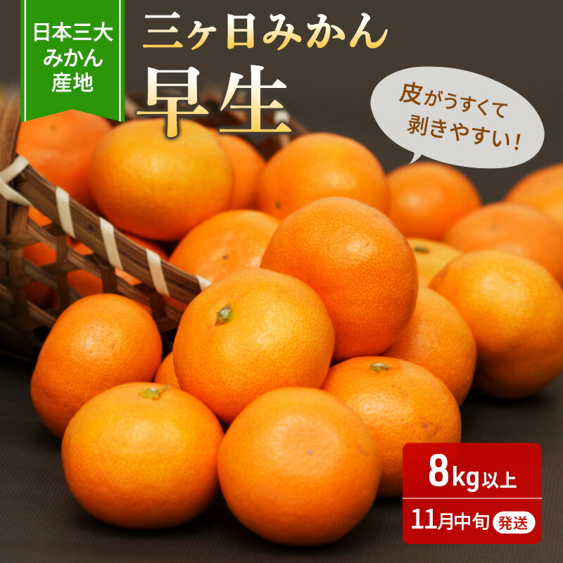 楽天市場】【ふるさと納税】三ヶ日デザートみかん 6袋入り 【果物類・柑橘類・みかん・フルーツ・加工食品・瓶詰・くだもの・果物】 : 静岡県浜松市