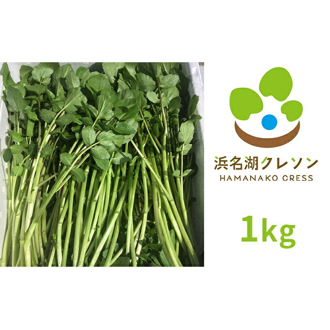 【ふるさと納税】浜名湖クレソン 1kg【配送不可：北海道・沖縄・離島】 朝採れ ハーブ