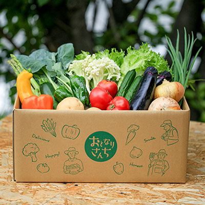 【ふるさと納税】おとなりさんち厳選！浜松から鮮度抜群！旬の野菜BOX【配送不可：沖縄・離島】 セット 詰合せ