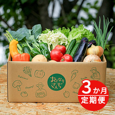 【ふるさと納税】おとなりさんち厳選！浜松から鮮度抜群！旬の野菜BOX【定期便3か月分】【配送不可：沖縄・離島】 セット 詰合せ