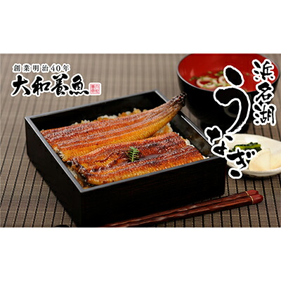 【ふるさと納税】訳あり 浜名湖うなぎ蒲焼 80g×3尾 真空パック 冷蔵【浜名湖産うなぎ・国産うなぎ】 魚介類 老舗 自社養殖 手焼き 小ぶり サイズ 贅沢 来客時 スタミナ料理 うな丼 ひつまぶし 土用の丑の日 静岡県 浜松市|静岡県浜松市