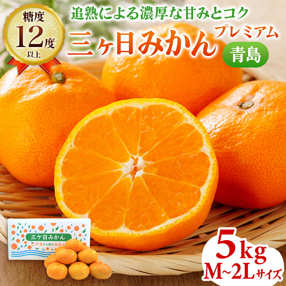 楽天市場】【ふるさと納税】三ヶ日みかん 青島 8kg M～2L サイズ混在
