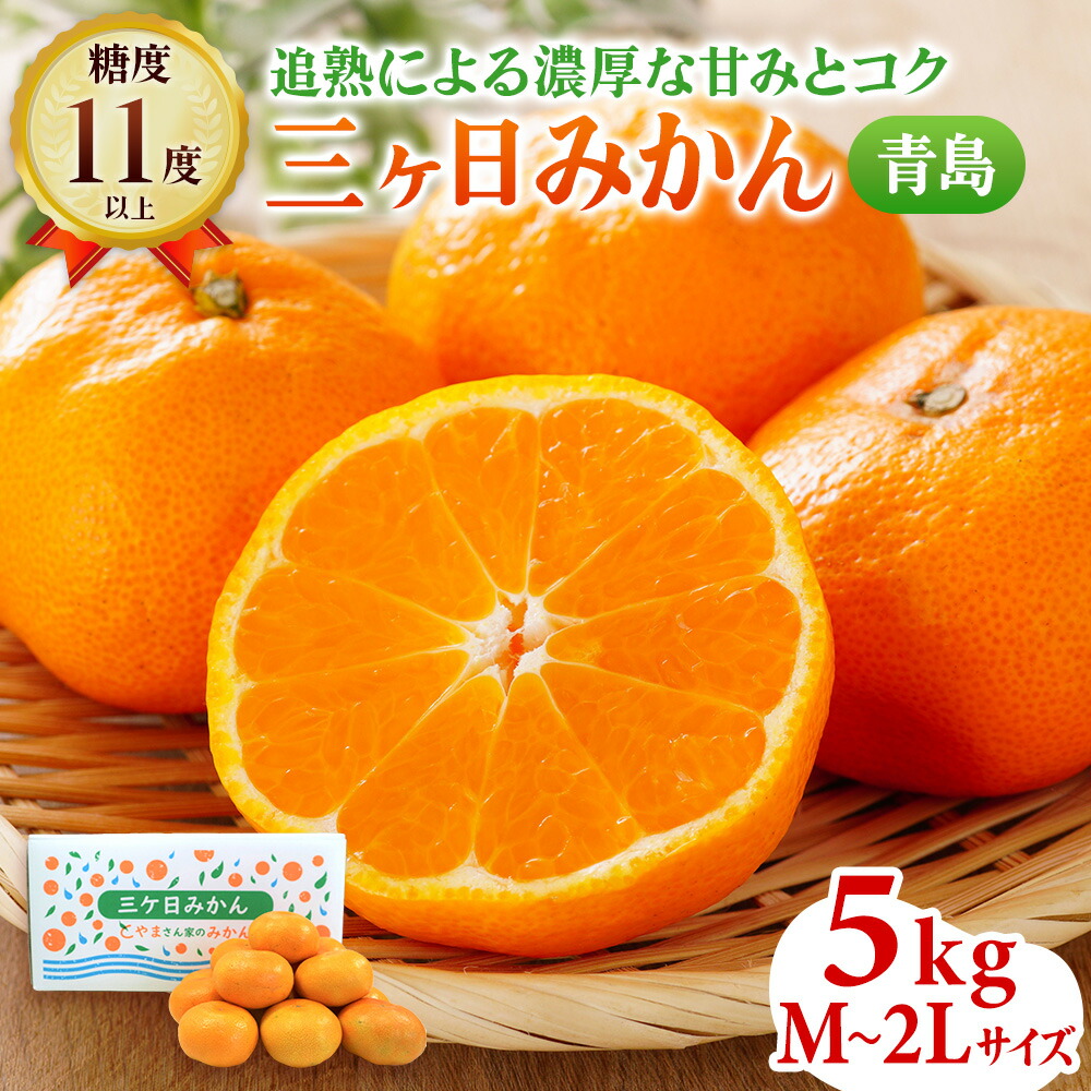 楽天市場】【ふるさと納税】三ヶ日みかん 青島 8kg M～2L サイズ混在