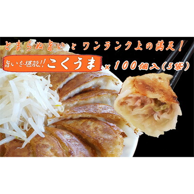 【ふるさと納税】浜松餃子 大須のぎょうざ［ 浜松ぎょうざ とまらぬコクと旨いを堪能！＜ こくうま味 ＞］× 5袋（1袋20個入、合計100個） 惣菜 冷凍 冷凍ギョーザ 夕飯 つまみ 中華 ヘルシー ジューシー 手作り餃子 あっさり