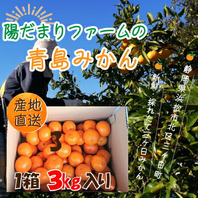 【ふるさと納税】先行予約 みかん 3kg 1箱 陽だまりファーム 三ヶ日みかん 青島みかん 三ケ日みかん 蜜柑 ミカン フルーツ 果物 季節のフルーツ 季節の果物 旬のフルーツ 旬の果物 柑橘 柑橘類 産地直送 静岡 静岡県 浜松市　お届け：2026年1月上旬～2月上旬
