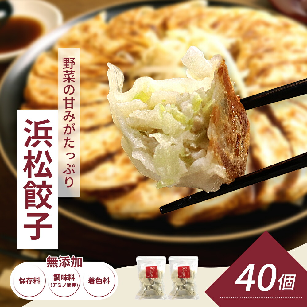 【ふるさと納税】浜松餃子 40個 (20個×2袋) セット 詰め合わせ 餃子のたれ 小袋 知久屋 国産 ぎょうざ 餃子 ギョーザ 冷凍餃子 冷凍ギョーザ 工場直送 ヘルシー あっさり 惣菜 中華 点心 静岡 静岡県 浜松市 【配送不可：離島】　お届け：14日～1か月