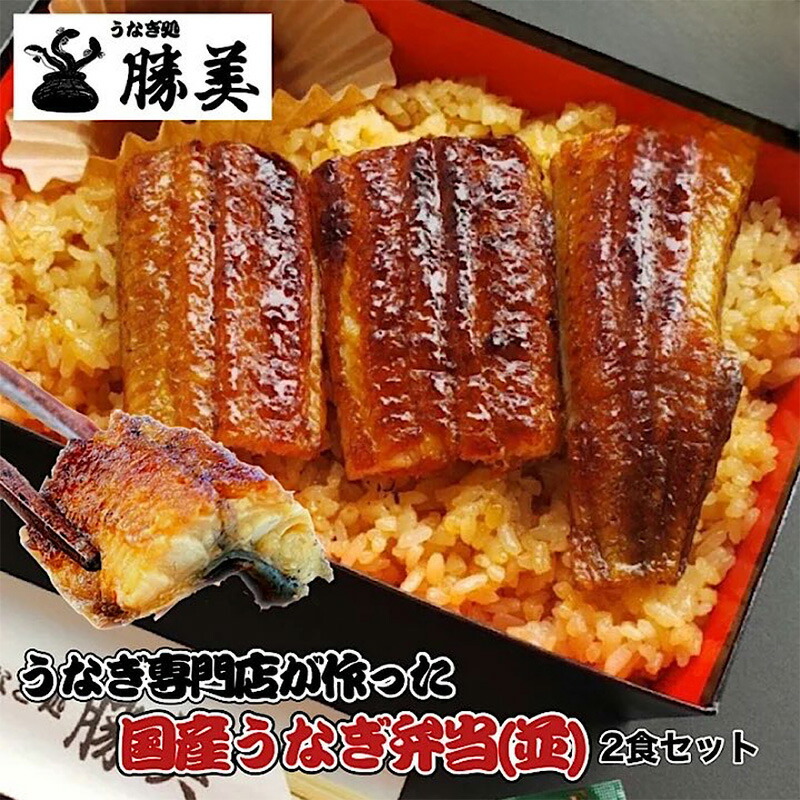 【ふるさと納税】国産うなぎ弁当【並】2食セット
