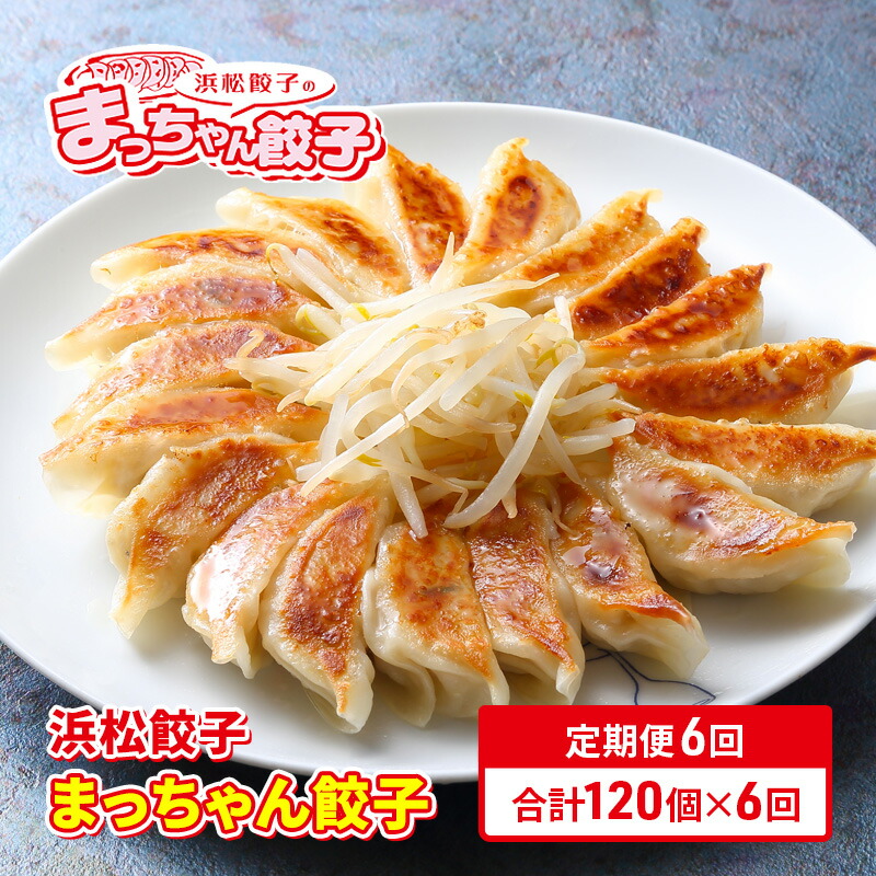 【ふるさと納税】【定期便6回】浜松餃子のまっちゃん餃子まっちゃん餃子40ヶ入り×3袋　計120ヶセット【配送不可：沖縄県・離島】 惣菜 冷凍生餃子 冷凍餃子 おかず つまみ 　お届け：※寄附金のご入金確認の翌月以降、初回発送から6ヶ月連続でお届けします。