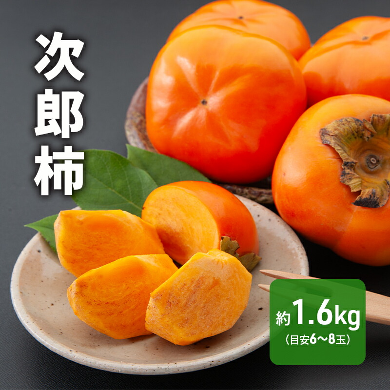 【ふるさと納税】先行予約 次郎柿 1.6kg 6～8個 静岡県 浜松市 【2025年11月上旬より順次発送】 果物 くだもの フルーツ 柿 かき 　お届け：2025年11月初旬～2025年11月下旬
