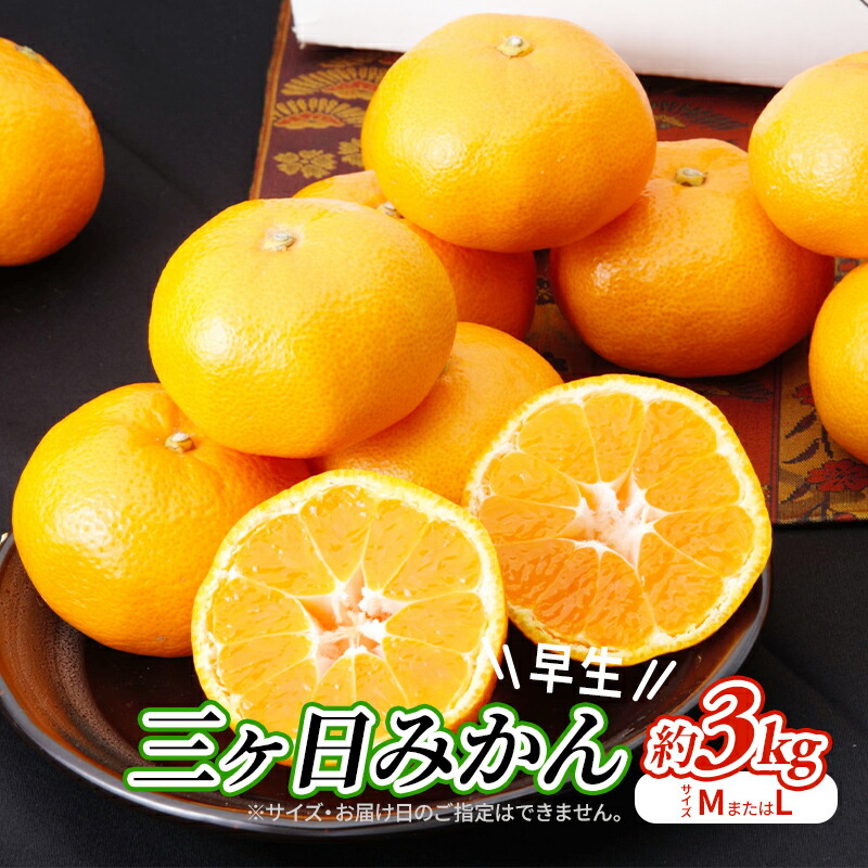 【ふるさと納税】【2025年11月中旬より順次発送】三ヶ日みかん早生 約3kg（サイズ：MまたはL） 　お届け：2025年11月中旬～2025年12月中旬