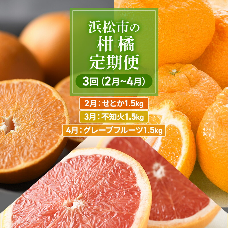 【ふるさと納税】【2026年2月上旬より発送】浜松市の柑橘定期便 3回（2月～4月）せとか・不知火・グレープフルーツ　お届け：2026年2月上旬～2026年4月下旬