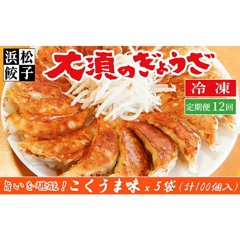【ふるさと納税】【定期便12回】浜松餃子 大須のぎょうざ［ 浜松ぎょうざ とまらぬコクと旨いを堪能！＜ こくうま味 ＞］× 5袋（1袋20個入、合計100個） 　お届け：※寄附金のご入金確認の翌月以降、初回発送から12ヶ月連続でお届けします。