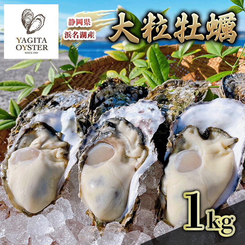 【ふるさと納税】【テレビで紹介されました！】浜名湖産かき大粒むき身1kg（加熱用） 牡蠣 八木田オイスター 海鮮 魚介 国産 浜名湖産 生牡蠣 焼き牡蠣 蒸し牡蠣 冷蔵 産地直送　お届け：2027年1月中旬～2027年3月下旬まで