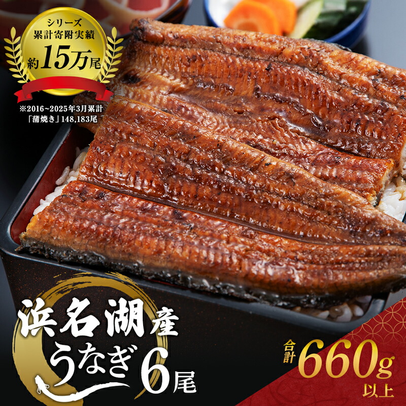 【ふるさと納税】国産 うなぎ 蒲焼き 6尾 (計660g) 浜名湖産 鰻 蒲焼 小分け 冷凍 浜松|静岡県浜松市