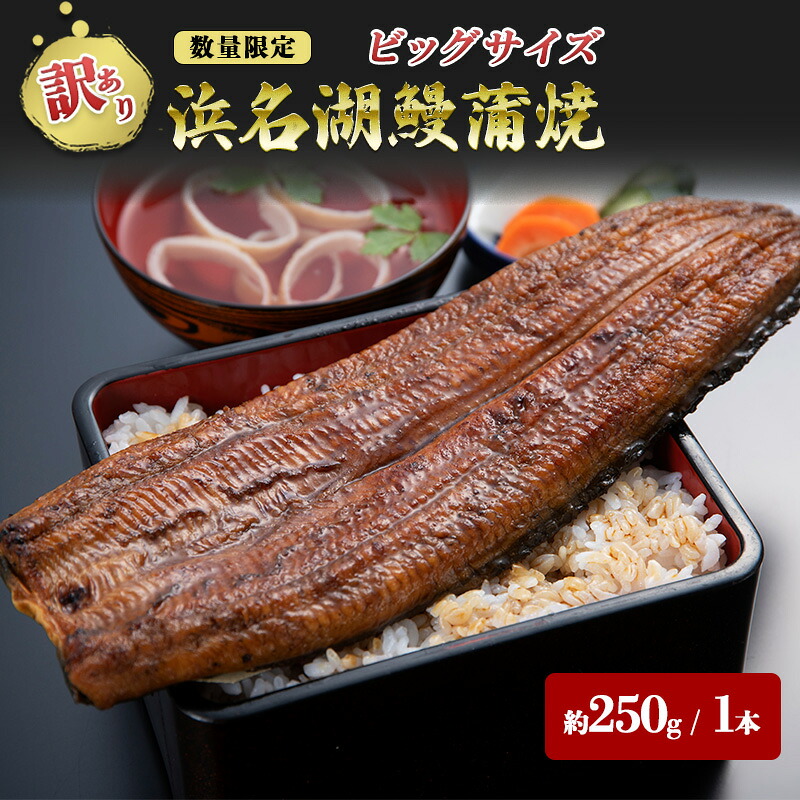 【ふるさと納税】【訳アリ・数量限定】浜名湖鰻蒲焼1本（約250ｇ） ビッグサイズ　うなぎ ウナギ 鰻 蒲焼 蒲焼き 魚貝類 訳あり 土用の丑の日 静岡県 浜松市 8,250円