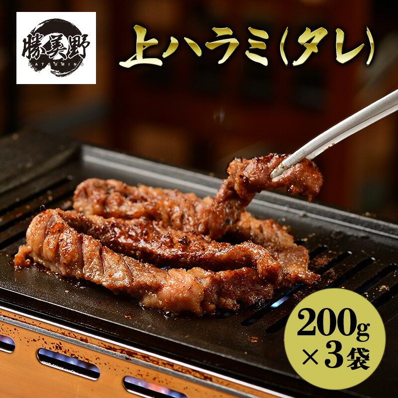 【ふるさと納税】勝美野のホルモン 上ハラミ(タレ)200g×3袋 焼肉 自家製だれ 浜松市 静岡