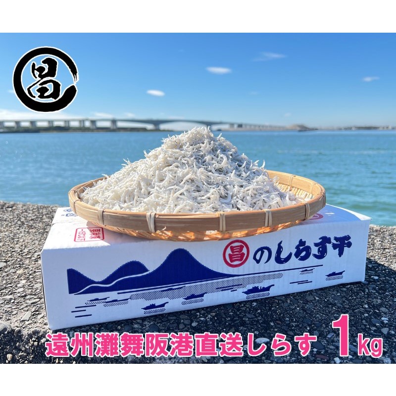 【ふるさと納税】しらす 遠州灘舞阪港直送 しらす干し 1kg (250g×4袋) 小分け 冷凍 シラス 【配送不可:離島】 浜松市 15,620円