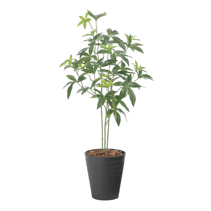 楽天市場】【ふるさと納税】光の楽園 パキラリーフツリー72