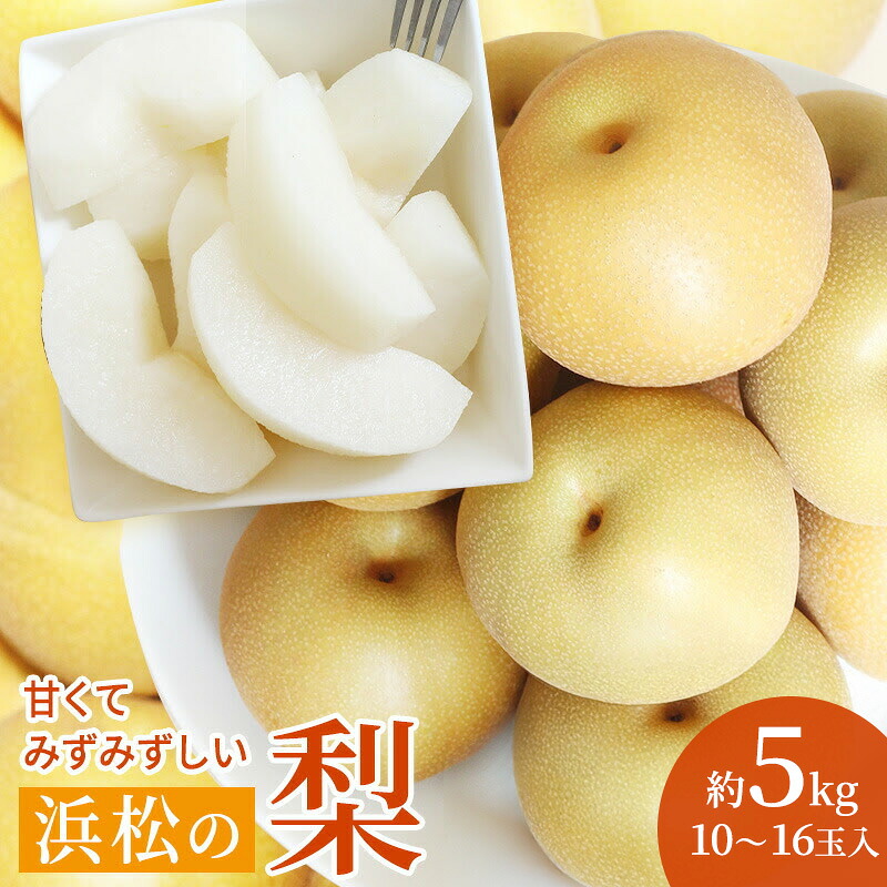 【ふるさと納税】浜松市産 梨 約5kg 10～16玉入り なし フルーツ 果物 静岡 浜松市【配送不可：離島】　お届け：2026年8月1日～8月31日まで