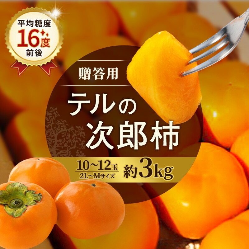 【ふるさと納税】【2026年11月上旬～順次発送】テルの次郎柿 10～12玉 約3kg（2L～Ｍサイズ）贈答用 柿 旬 かき 果物 くだもの フルーツ 旬の果物 旬のフルーツ 秋の味覚 静岡 浜松市【配送不可：離島】　お届け：2026年11月1日～11月30日まで｜静岡県浜松市