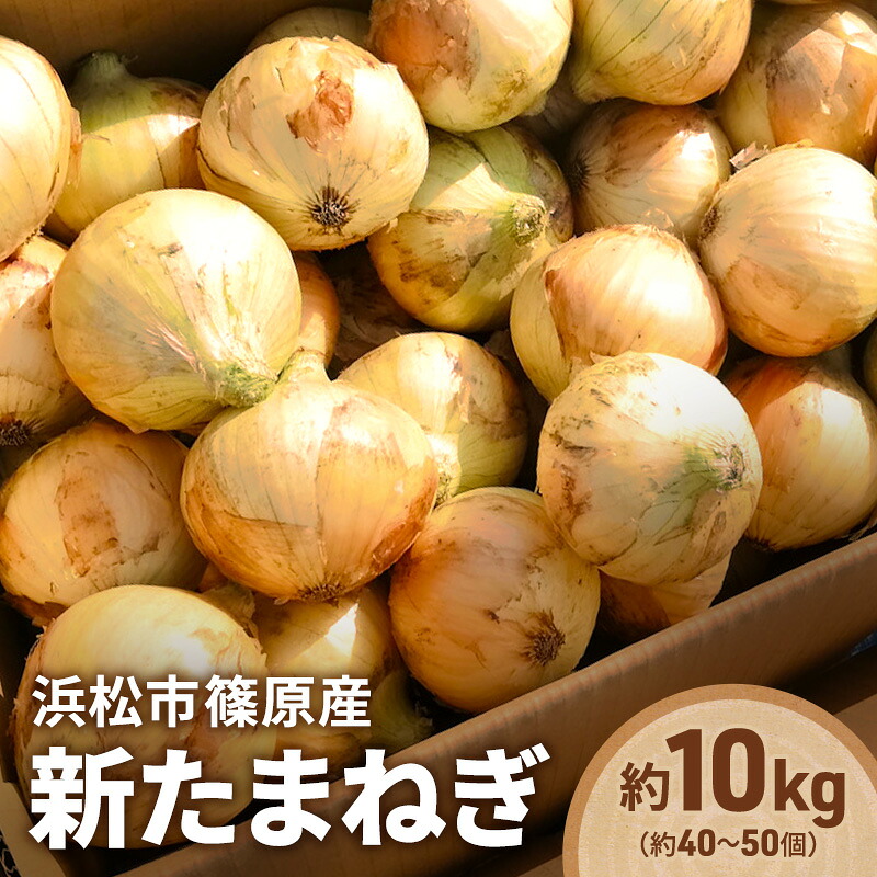 【ふるさと納税】浜松市篠原産「新たまねぎ（黄色）約10kg（約40～50個）」 たまねぎ 玉葱 玉ねぎ 野菜 食べやすい 上品な食感 サラダ 前菜 煮物 スープ やさしい旨み 自家採種 静岡 浜松市【配送不可：北海道・沖縄・離島】　お届け：2027年2月15日～2027年4月30日まで｜静岡県浜松市