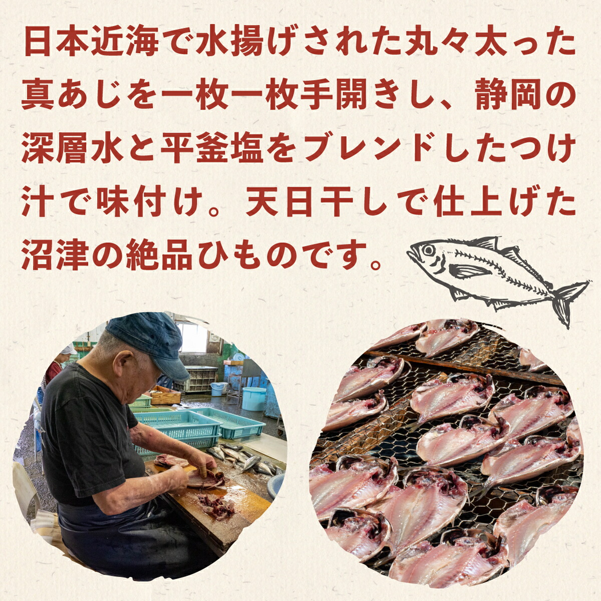 が大特価！ 干物 魚 鯵 あじ ひもの 天日干し 6枚 セット 天然 国産 送料無料 fucoa.cl