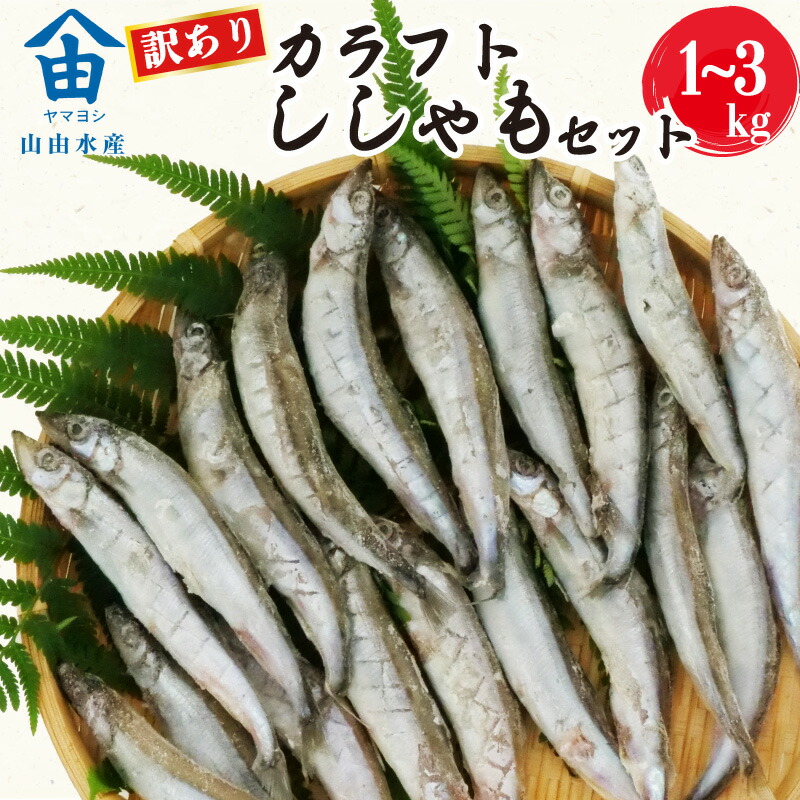 【ふるさと納税】 訳あり ししゃも 1~3kg カラフト 丸干し 干物 ひもの セット 冷凍 沼津 静岡 選べる 魚 海鮮 シシャモ 柳葉魚  魚介  惣菜 子持ち グルメ 食べ物 人気 ランキング 冷凍