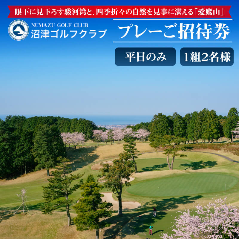 楽天市場】【ふるさと納税】 NEMU GOLF CLUB ペア ゴルフプレー券