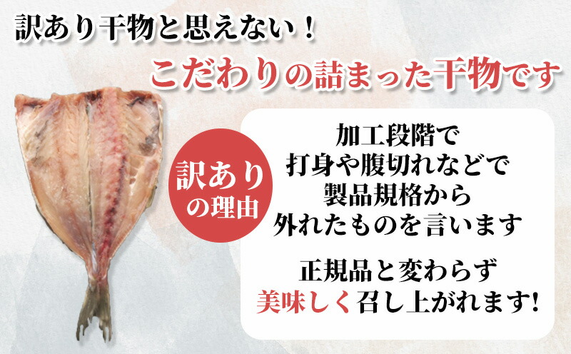 正規品 訳あり あじ 鯵 干物 ひもの 40枚 大容量 炭室熟成 あじの開き 頭なし fucoa.cl