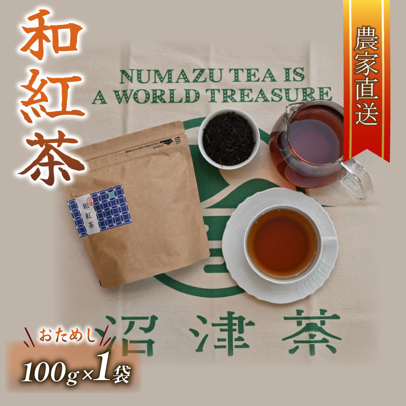 【ふるさと納税】 和紅茶 茶葉 100g 1袋 農家直送 お茶 紅茶 静岡 沼津