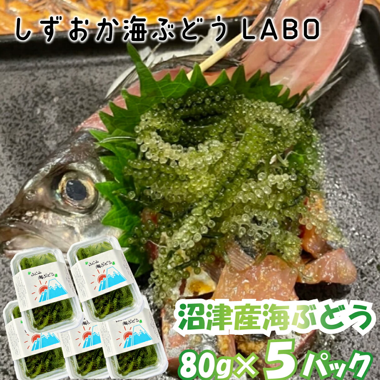 【ふるさと納税】 海ぶどう 80g 5パック 産地直送 数量限定 うみぶどう 海葡萄 海藻 特産品 ギフト 贈り物 おつまみ 低カロリー 沼津市 静岡県