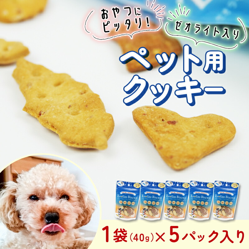 【ふるさと納税】 犬用 ビスケット 40g×5p 国産 ペットフード 犬 おやつ 小分け イヌ ドッグ 間食 無添加 米粉 小麦 はちみつ 蜂蜜 あじ 金目鯛 マグロ チーズ ご褒美 ドッグフード ペット用品 愛犬 沼津市 静岡県