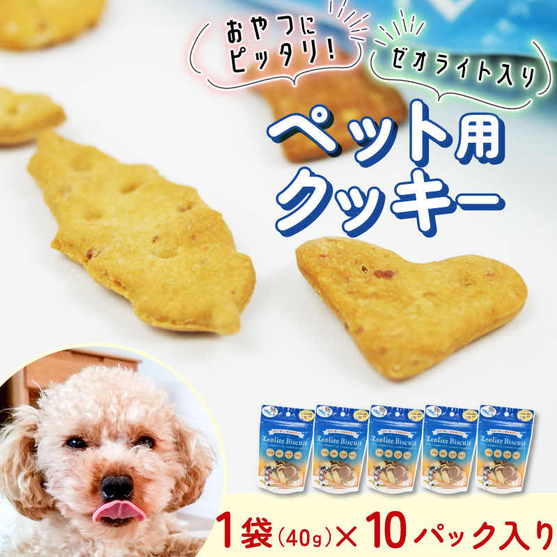 【ふるさと納税】 ビスケット 40g×10p 国産 ペットフード 犬 おやつ 小分け 無添加 米粉 小麦 はちみつ あじ 金目鯛 マグロ チーズ ご褒美 オヤツ 犬用 ドッグフード トリーツ 自然 安全 ペット用品 愛犬 栄養 沼津市 静岡県